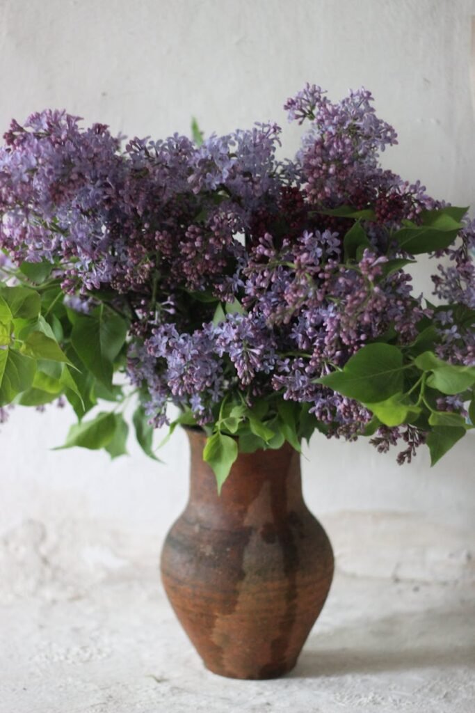 Indonesia in Spring: The Ultimate Guide to Exploring the Archipelago Before the Crowds