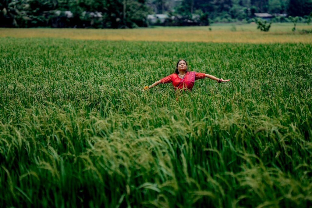 Svargabumi Borobudur: A Comprehensive Guide to Magelang’s Serene Rice Field Sanctuary
