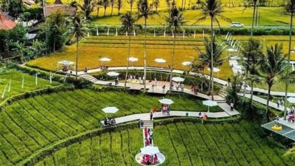 cafes near Borobudur