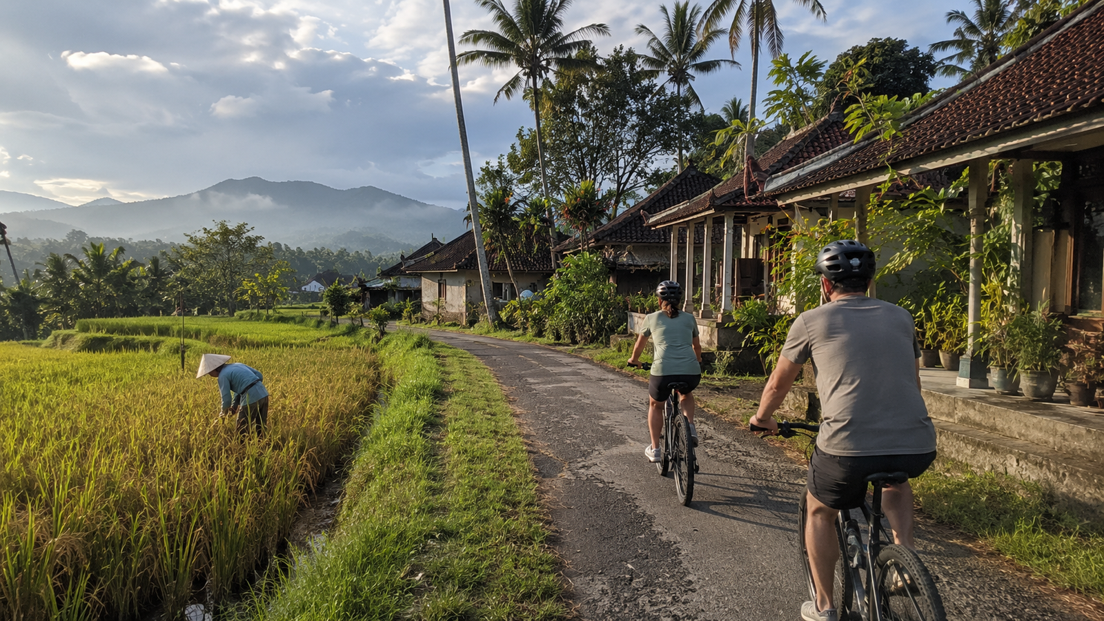 Borobudur tourism villages coffee plantation in Ngargogondo with Mount Merapi background